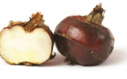 Những bài thuốc dùng củ năng: Mát, tốt cho sức khỏe