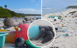 Phát hiện lượng rác nhựa khổng lồ tại hòn đảo thiên đường không người ở giữa Thái Bình Dương: 30 năm trôi qua trông vẫn như mới