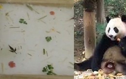 Tôn sùng gấu trúc quá mức, sở thú Trung Quốc lấy phân gấu chế biến thành quà lưu niệm tặng cho du khách gây ra nhiều tranh cãi