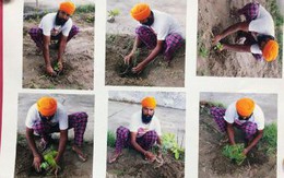 Ấn Độ: Muốn sử dụng súng hãy trồng cây