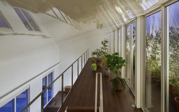 Ngôi nhà ở Nhật gây ấn tượng mạnh vì sở hữu 1 hành lang dài được xếp toàn cây cảnh
