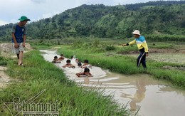 3 thanh niên ngăn suối, làm điều cảm động dưới chân núi lửa