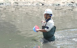 Chuyên gia Nhật sẽ tắm trên sông Tô Lịch