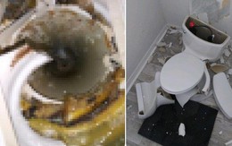 Sét đánh trúng bể phốt khiến nhà vệ sinh nổ tan tành