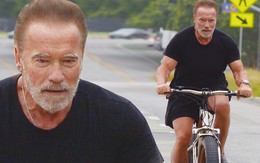 Tài tử "Kẻ hủy diệt" Arnold Schwarzenegger U80 cơ bắp cuồn cuộn