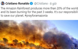 Các siêu sao bóng đá cầu nguyện cho rừng Amazon, Ronaldo tuyên bố: "Chúng ta phải có trách nhiệm cứu lấy hành tinh này"
