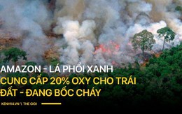 Tình hình cháy rừng tại Amazon đang trầm trọng đến mức nào: 8 tháng 100.000 vụ cháy, thảm họa ở tầm cỡ địa cầu