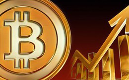 Bitcoin “ngư ông đắc lợi” nhờ Trung Quốc tung đòn áp thuế trả đũa Mỹ