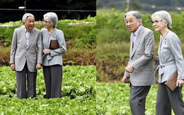 Ngôn tình ngoài đời thực: Vợ chồng cựu Nhật hoàng nắm tay nhau hưởng thú vui tuổi già, 60 năm tình yêu vẫn vẹn nguyên