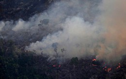 CNN cập nhật tình hình chữa cháy rừng Amazon: 'Phía dưới máy bay là nghĩa địa vì chúng tôi chỉ thấy cái chết'
