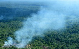 Cuộc chiến thương mại và cháy rừng Amazon: Tưởng chừng không liên quan nhưng sự thật đằng sau lại gây bất ngờ!