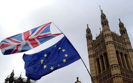 Thủ tướng đòi đình chỉ quốc hội vì Brexit, nước Anh nín thở chờ cú sốc