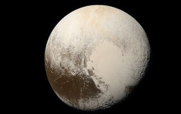 Sếp của NASA khẳng định "Sao Diêm Vương là một hành tinh", gây bão cộng đồng khoa học vốn đã phân ra làm hai nửa