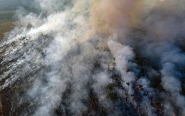 Trung Quốc kêu oan khi bị truyền thông phương Tây tố "góp lửa" vào thảm họa cháy rừng Amazon