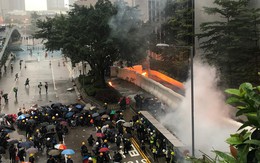 Người biểu tình Hong Kong ném bom xăng vào văn phòng chính quyền