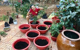 Khu vườn rộng 5.000m2 tại quê nhà Bình Phước của "nữ hoàng cảnh nóng"