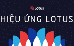 Hiệu ứng Lotus chính là lời lý giải khoa học cho câu ca dao "gần bùn mà chẳng hôi tanh mùi bùn"