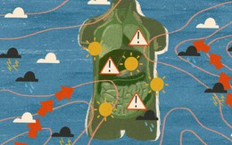 Biến đổi khí hậu đang gây tổn hại cho sức khỏe của chúng ta như thế nào?