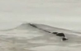 Cảnh sát phơi bày sự thật về "quái vật hồ Loch Ness" phiên bản Trung Quốc từng khiến bao người khiếp sợ