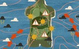 Biến đổi khí hậu đang gây tổn hại cho sức khỏe của chúng ta như thế nào?