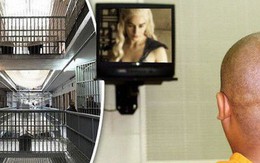 Quyết vào tù để được xem truyền hình miễn phí, tên trộm cố tình lưu lại dấu vết vì muốn cảnh sát tới bắt