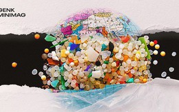 Hạt vi nhựa: Nỗi xấu hổ về nền 'văn minh' của chúng ta với hậu thế