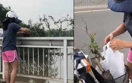 Người phụ nữ ngang nhiên bứng trộm cây cảnh ở Phú Mỹ Hưng, bị nhắc nhở còn cố chấp: "Em chỉ xin 1, 2 cây thôi mà"