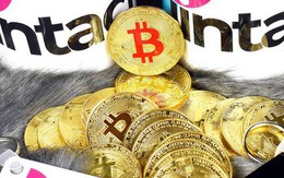 Tương lai Bitcoin u ám