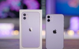 iPhone 11 xách tay giảm giá ‘sốc’, về dưới 20 triệu đồng