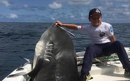 Cậu bé 8 tuổi bất ngờ câu được cá mập hổ nặng 314 kg, dự đoán phá cả kỷ lục thế giới cách đây 22 năm