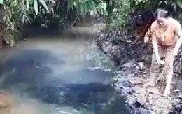 Nước sạch sông Đà bốc mùi lạ: Đơn vị bán nước nói "đã làm hết trách nhiệm"