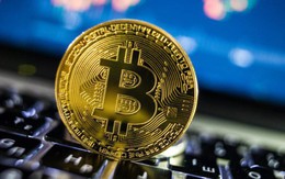 Giá Bitcoin bất ngờ tăng gần 30%, thoát đáy 5 tháng