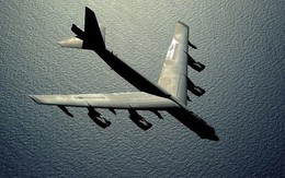 Tìm thấy máy bay ném bom B-52 trong vườn nhà