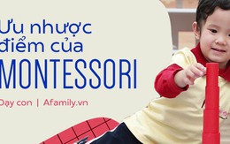 Tất tật ưu nhược điểm của phương pháp Montessori: Bố mẹ nắm rõ trước khi cho trẻ theo học