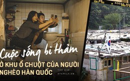 Trái ngược với khu Gangnam xa hoa là những "ngôi nhà bán ngầm" trong Ký sinh trùng đến cuộc sống bi thảm ở khu ổ chuột của người nghèo ở Hàn Quốc