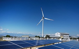 Báo Indonesia: Tại sao Việt Nam đã vượt xa về điện mặt trời, trong khi Indonesia thì 'phủ bụi' không thấy nhà đầu tư tới?