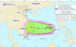 Bão số 6 liên tục đổi hướng, có thể giật cấp 13