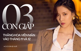 Tháng 11 thần tài giá đáo, tháng 12 quý nhân lâm môn, 3 con giáp này không thành Rồng cũng thành Phượng, sự nghiệp tài vận thập toàn thập mỹ