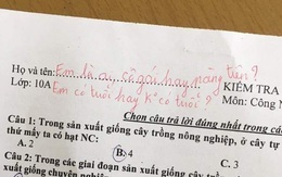 Học sinh quên ghi tên trong bài kiểm tra, thầy giáo lại nhắc khéo bằng dòng thơ ngọt ngào khiến dân mạng thả “triệu like”