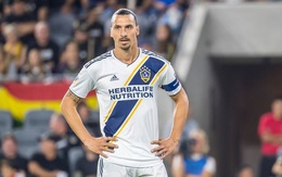 MU bất ngờ trải thảm đỏ mời về Ibrahimovic