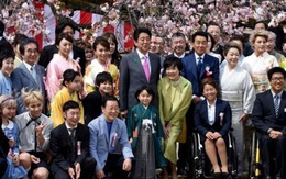 Nhật Bản bất ngờ hủy bỏ lễ hội hoa anh đào năm 2020