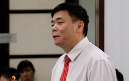 Phạt vợ chồng luật sư Trần Vũ Hải 12 tháng cải tạo không giam giữ