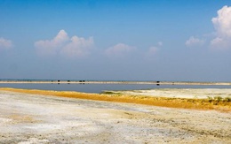 Ấn Độ: Hơn 2.000 con chim chết bên hồ muối không rõ lý do