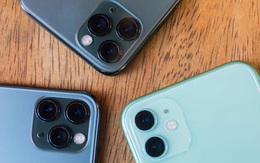 Bạn có nhận ra sự khác biệt giữa ảnh chụp từ iPhone 11 Pro và 1 chiếc máy ảnh 20.000 USD của Leica?