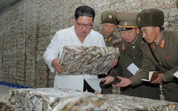 Triều Tiên tung loạt ảnh ông Kim thăm nhà máy cá