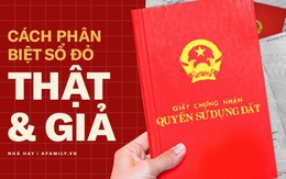 Cách nhận diện sổ đỏ "giả" để không "trắng tay" khi mua nhà đất