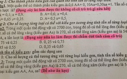 'Không làm được bài thì khỏi cô trò gì nữa' và loạt dòng chữ nhắn nhủ đầy dỗi hờn của cô giáo cho học sinh