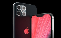 iPhone 12 và 5G có thể tạo ra một 'siêu chu kỳ bán hàng khổng lồ' cho Apple