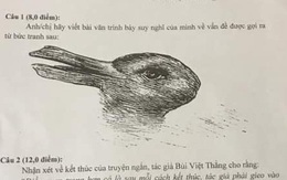Đề thi học sinh giỏi Văn chỉ có hình nửa thỏ nửa vịt yêu cầu học sinh phân tích, trình bày suy nghĩ để được 8 điểm!