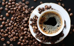 Chúng ta đang vô tư uống cà phê nhiều tới mức máu hiến tặng cũng chứa rất nhiều caffein